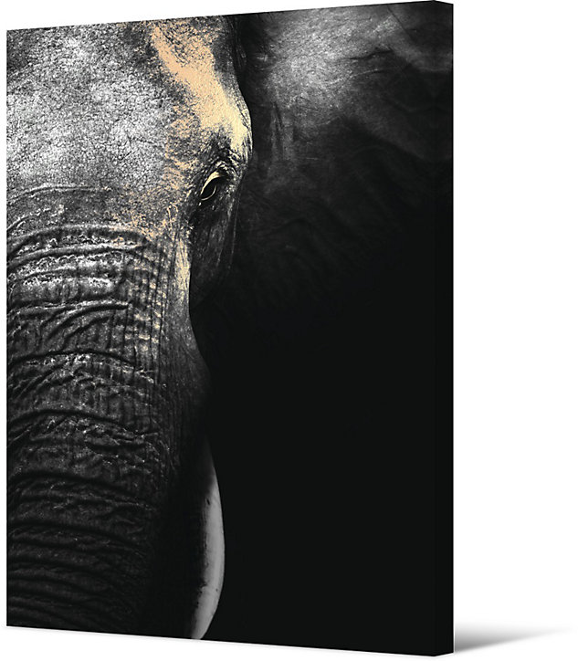 Toile imprimée Eléphant l.80 x H.120 cm