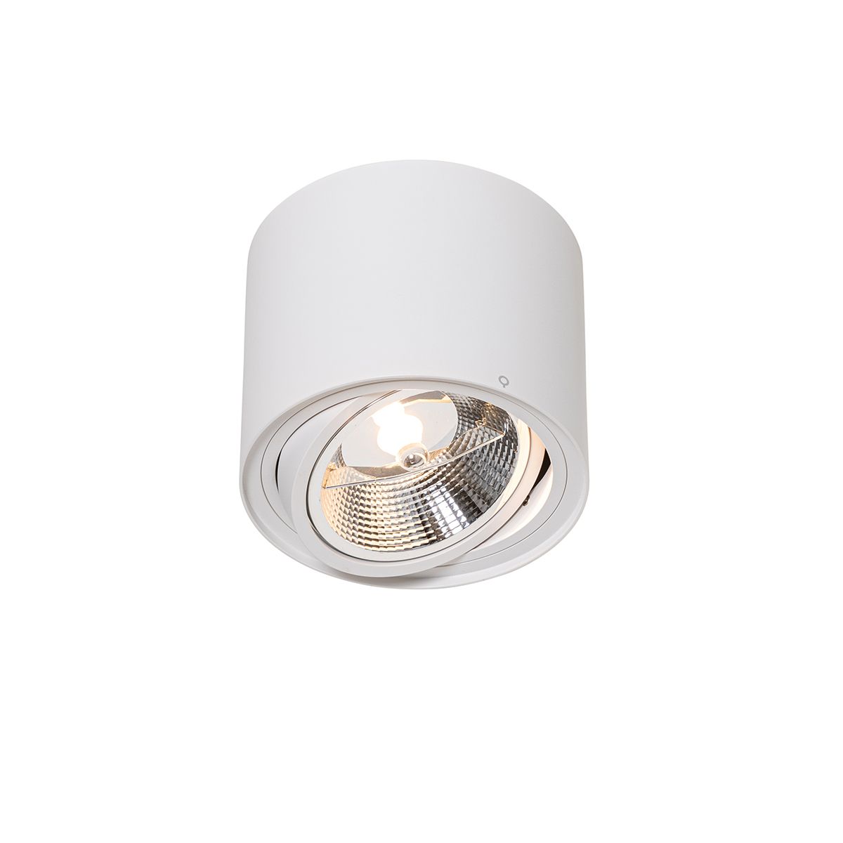 Smart plafondspot wit draai- en kantelbaar incl. Wifi GU10 111mm - Rondoo Up