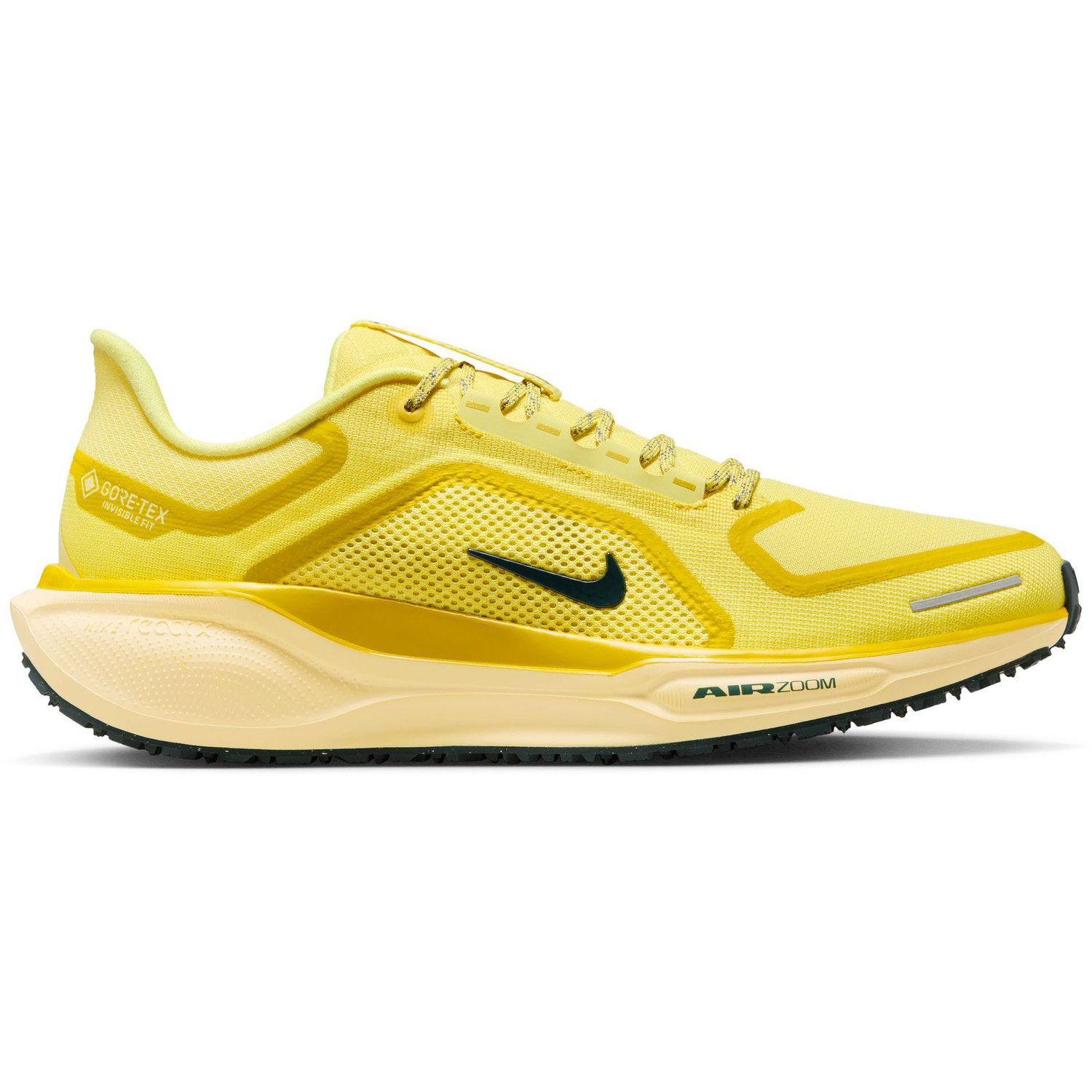 Nike Pegasus 41 GTX Heren