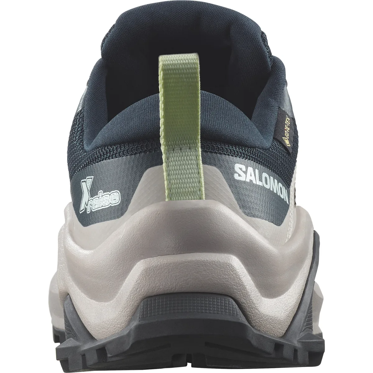 Salomon X Raise Gore-Tex Carbon / Ashes Of Roses / Clearly Aqua