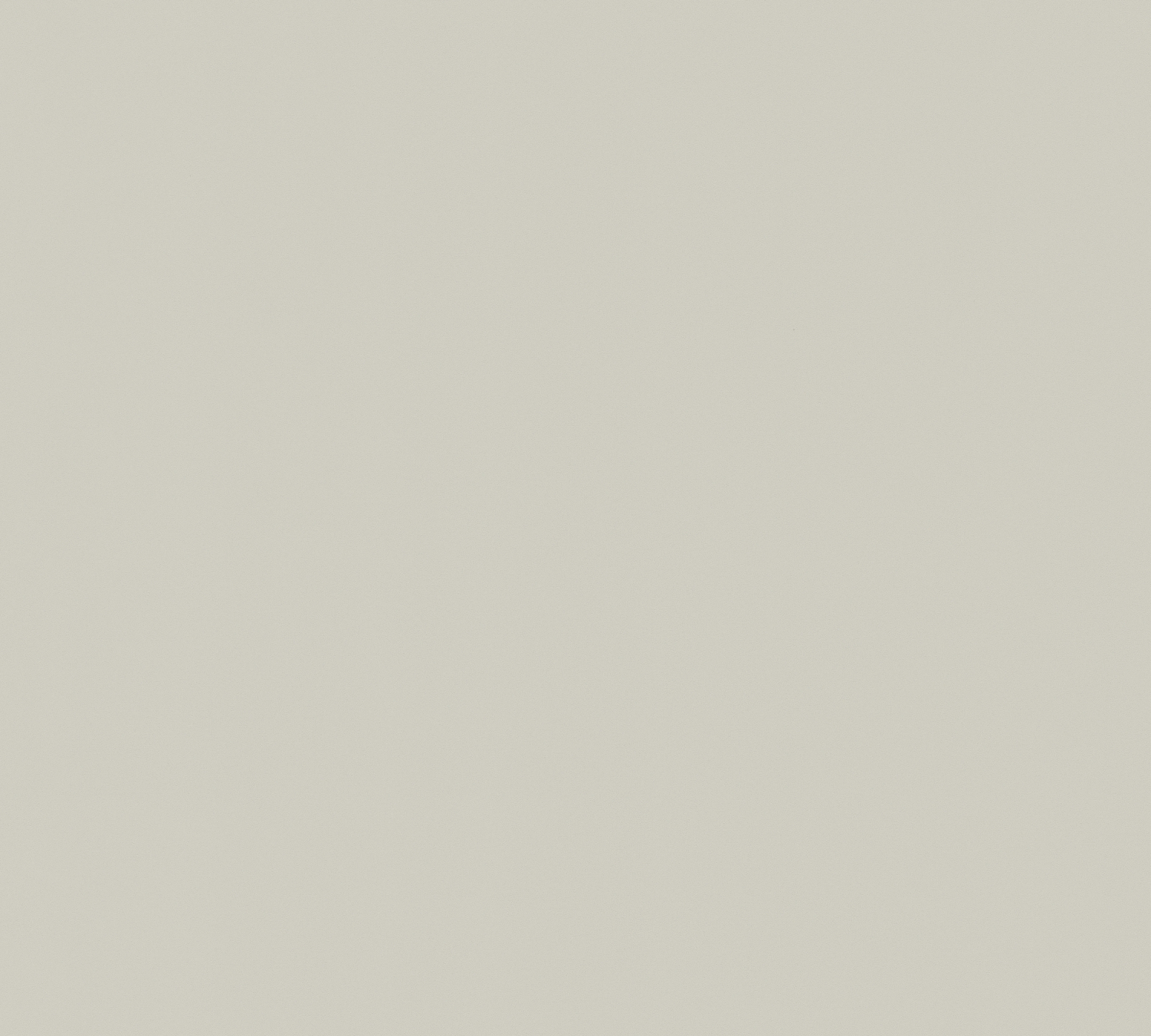 A.S. Creation Vliestapete NEW LIFE - beige-grau - 10 Meter