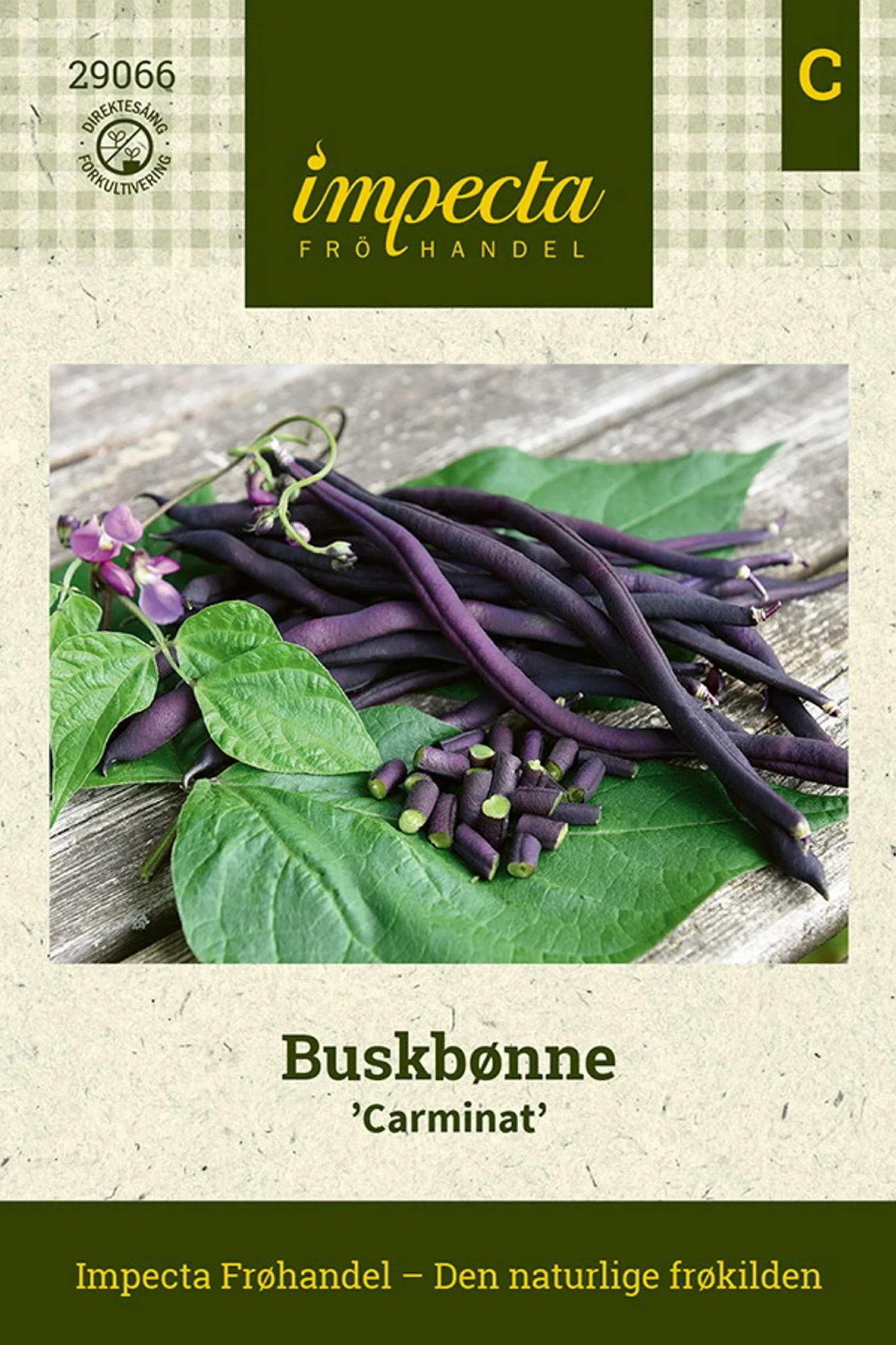 Phaseolus vulgaris 'Carminat' Buskbønne 'Carminat'