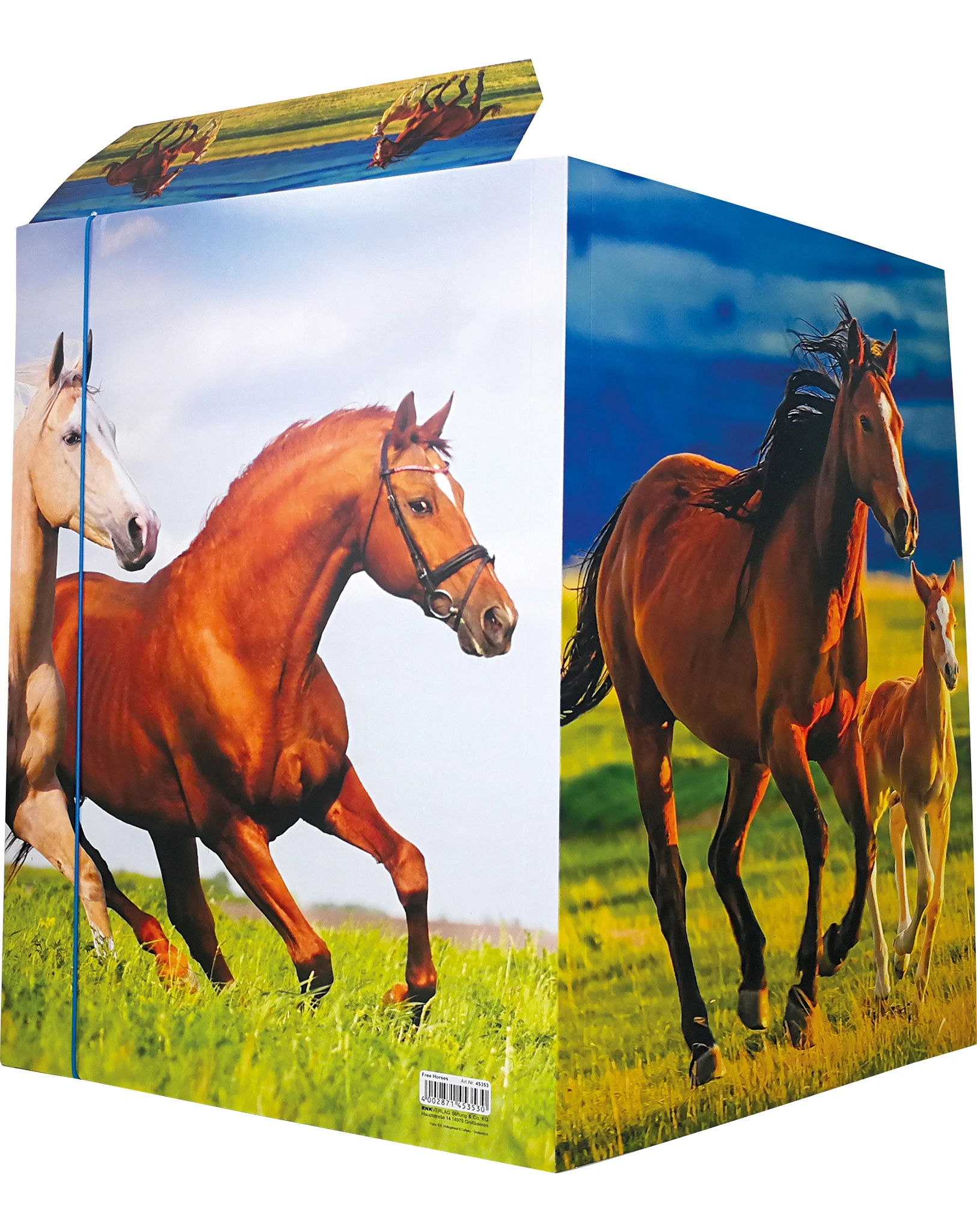 Zeichenmappe FREE HORSES (31x44) A3