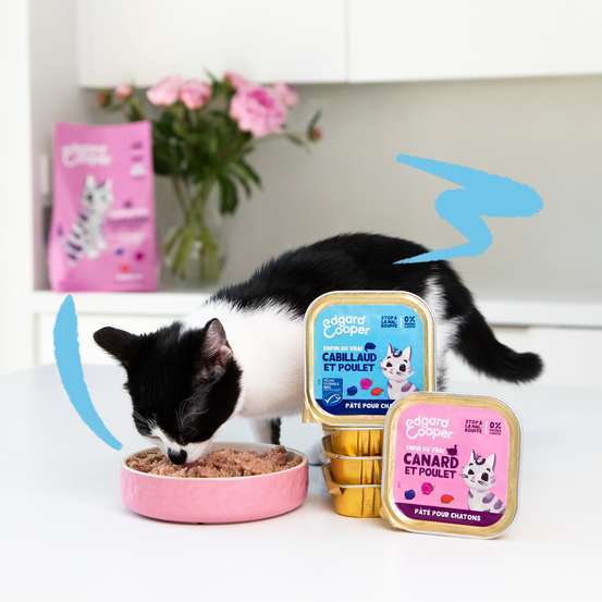 Pâté canard et poulet pour chatons 85g