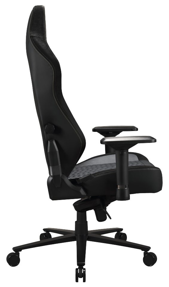 Apollon Classic / Gold Top Black seat + Gold logo