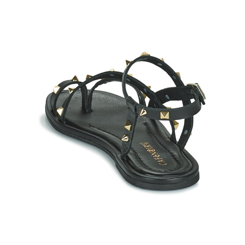 Café Noir - C1GD1040 Negro