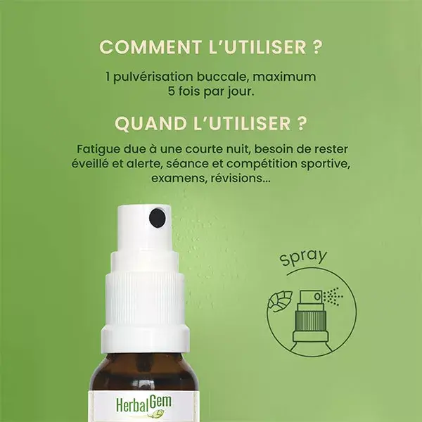 Herbalgem Energem Coup De Boost Spray Orgânico 15 ml