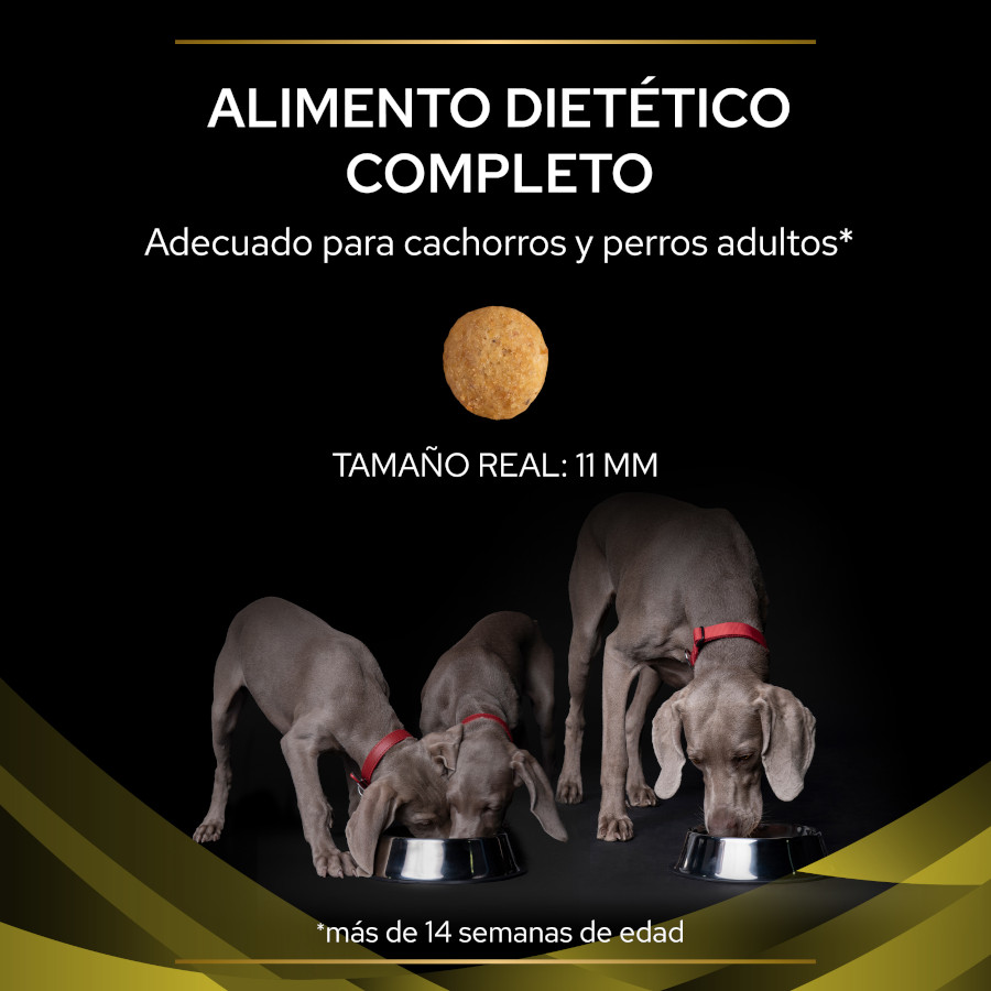 Ração Pro Plan Veterinary Diets para cães com problemas hepáticos