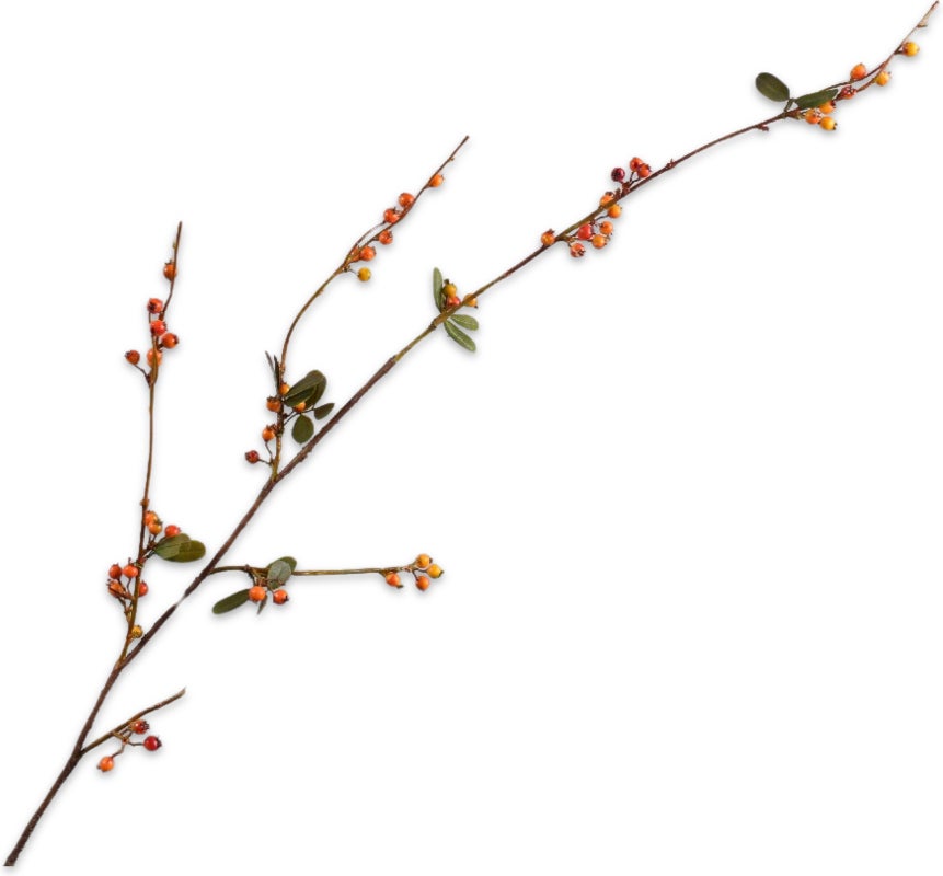 Silk-ka kunsttak Bessen oranje 124 cm