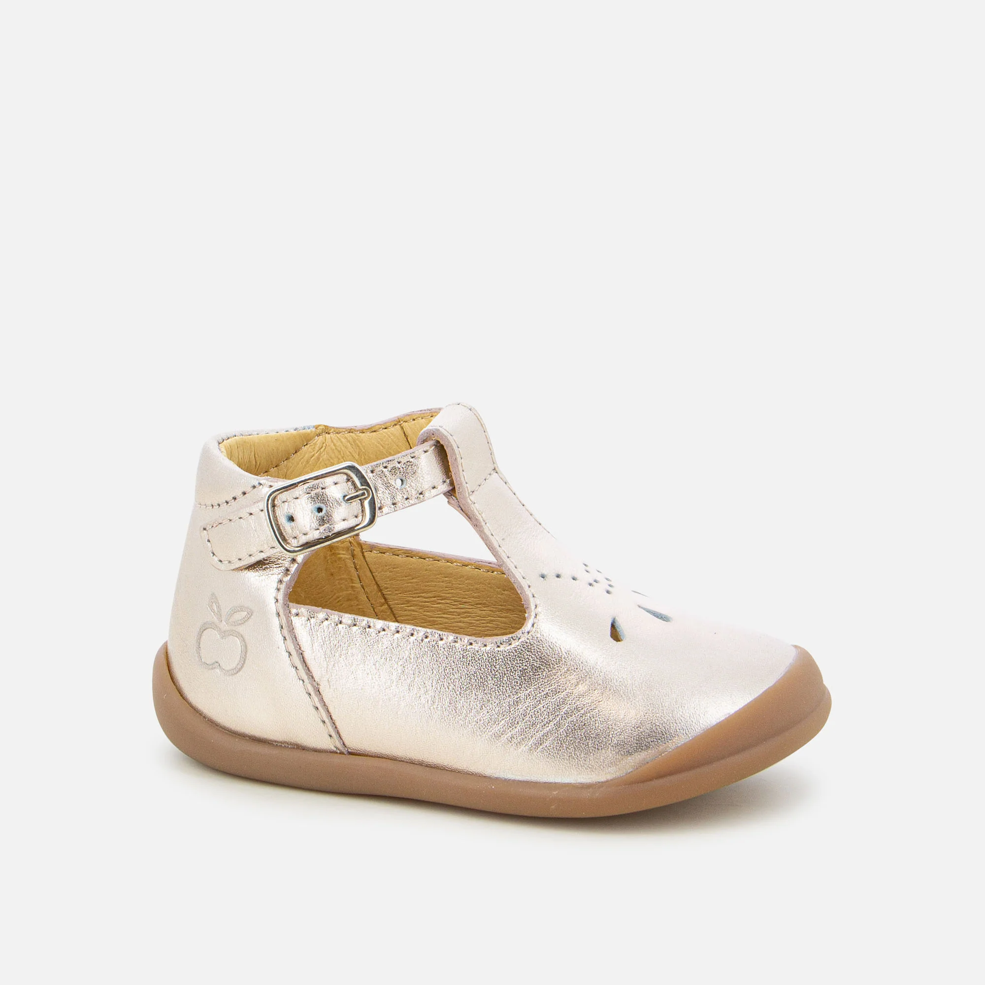 FLEX-UP SALOME