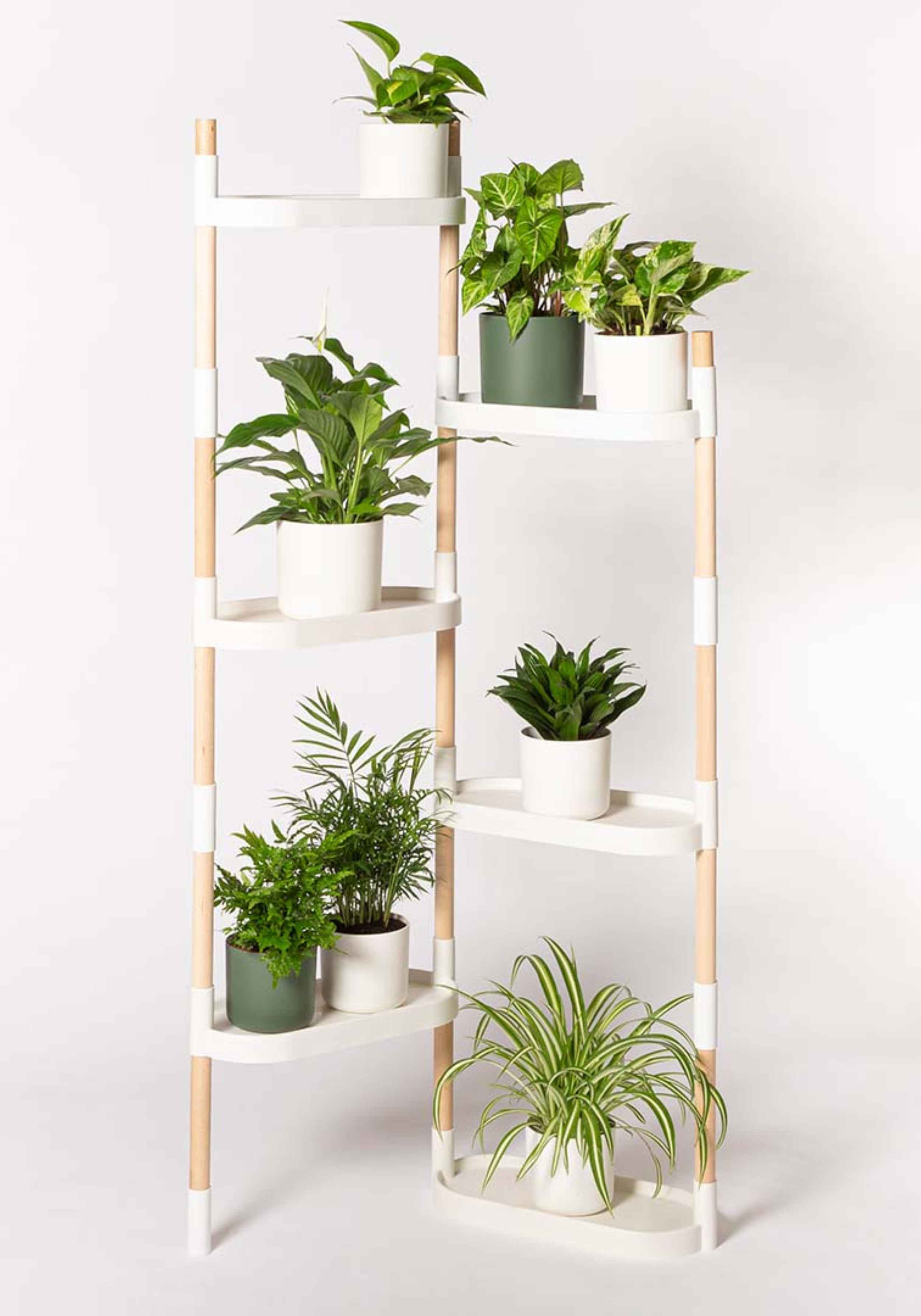 CitySens Modulares Pflanzenregal mit 6 Ablagen