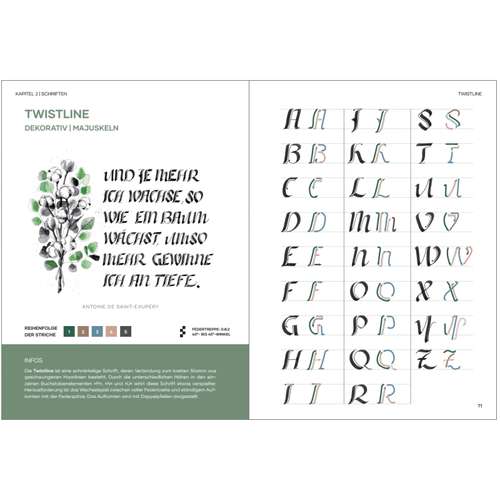 Praxisbuch Kalligraphie Alphabete