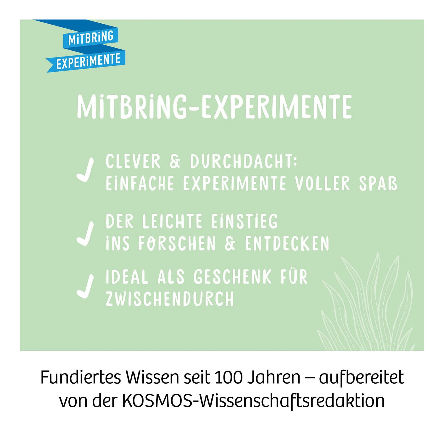 Experimentier-Set KAKTEEN-WÜSTE