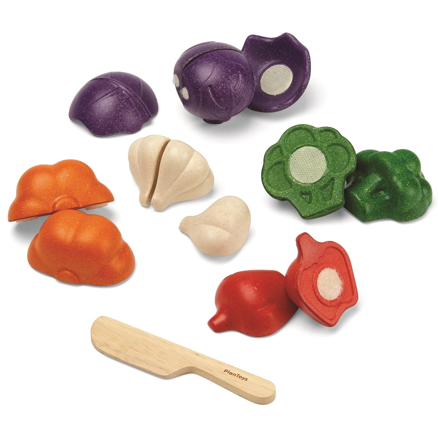 PlanToys Gemüse 5-farbiges Set