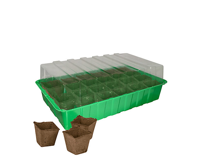 Mini serre fertile de 24 godets Jany H. 13 cm x L. 36 cm