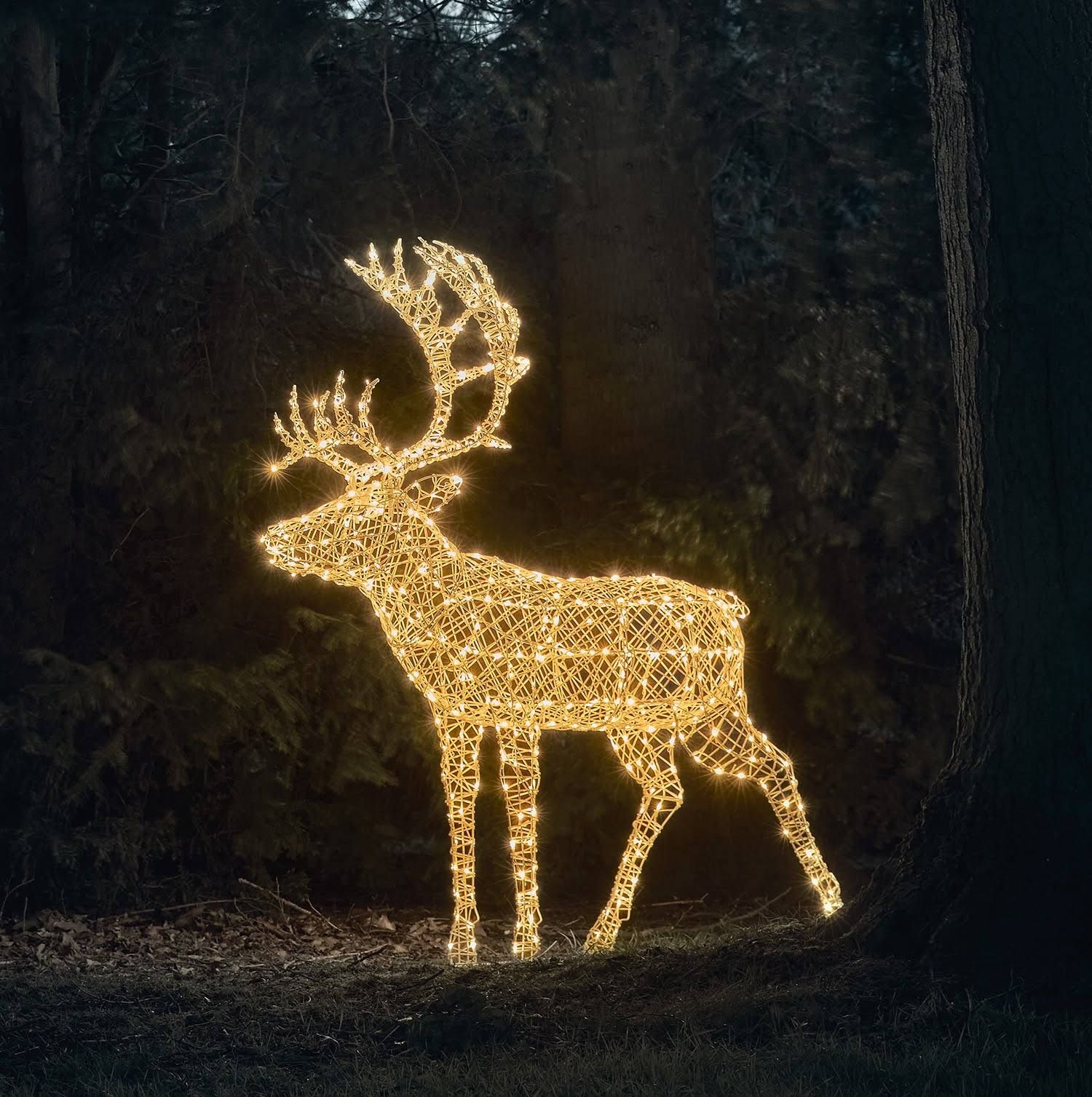 1, 8m Arkendale Bicolor LED Rentier