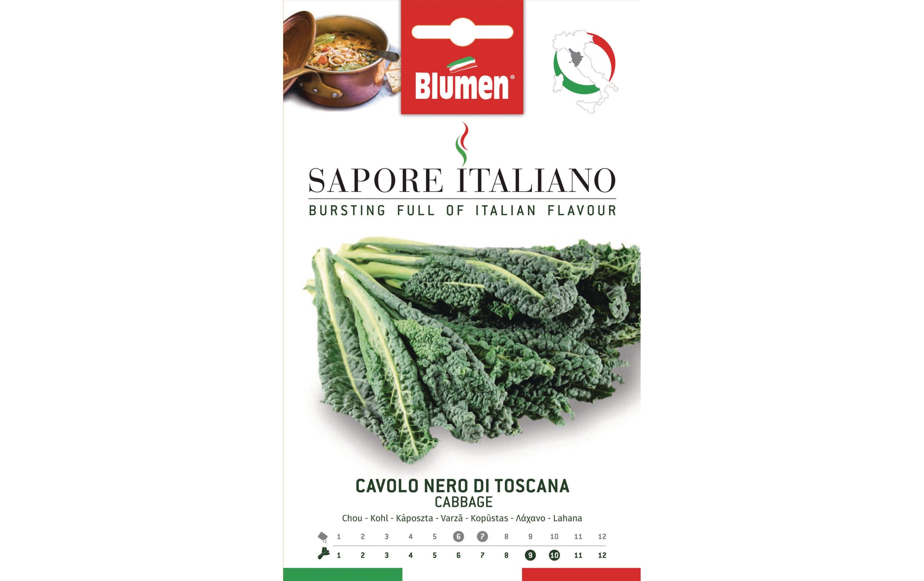 Samen Kohl Nero di ToscanaGemüsesamen