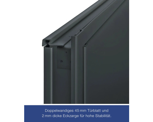 Hörmann multifunctionele kelderdeur met glaspaneel, RAL 7016 antracietgrijs, 1000x2000 mm, omkeerbaar (links/rechts), incl. matglas
