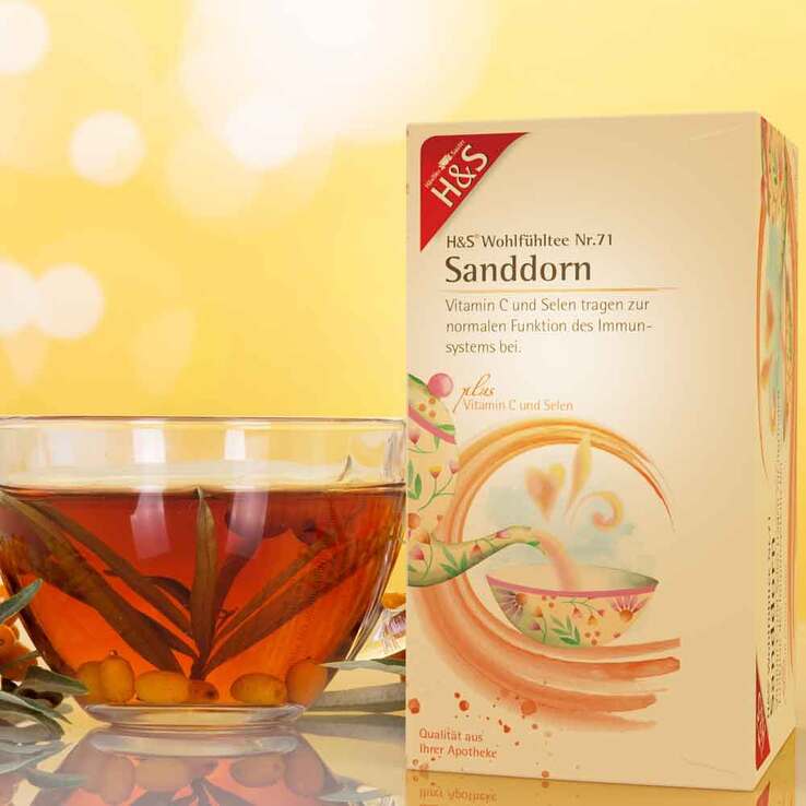 H&S Sanddorn mit Vitamin C und Selen Filterbeutel, 20X2.5 g