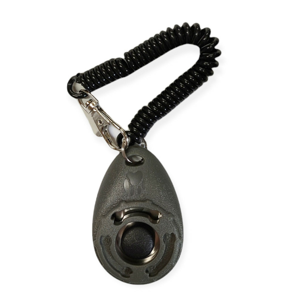 Un clicker sporting pour chien- couleur aléatoire