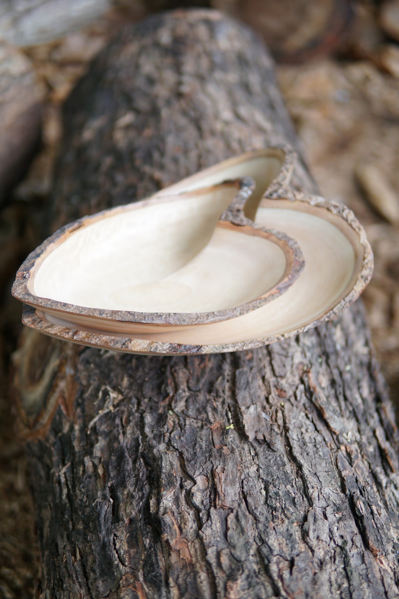 Schale in Herzform klein, 'Mangoholz', natur, T 25 cm, B 17 cm, H 6 cm von fischer's lagerhaus