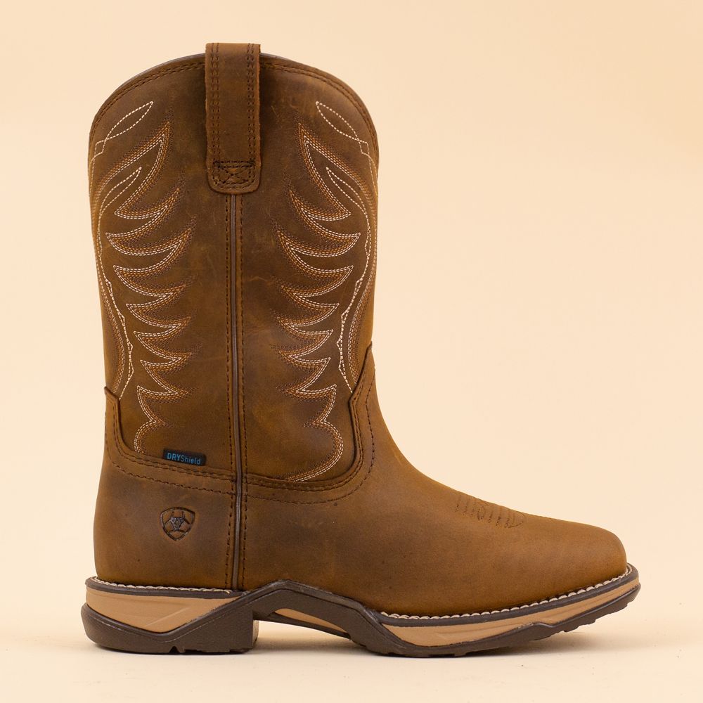 Ariat waterproof boots Anthem H20 Brown