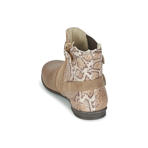 Aster - DESIA - Taupe / Imprimé