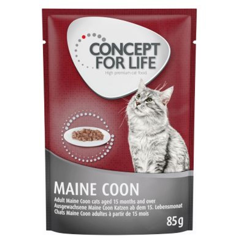 Concept for Life Maine Coon Adult pour chat
