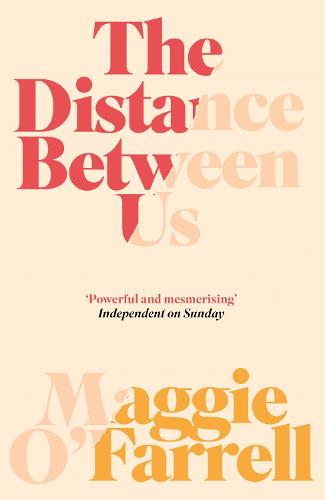 The Distance Between Us (Paperback)