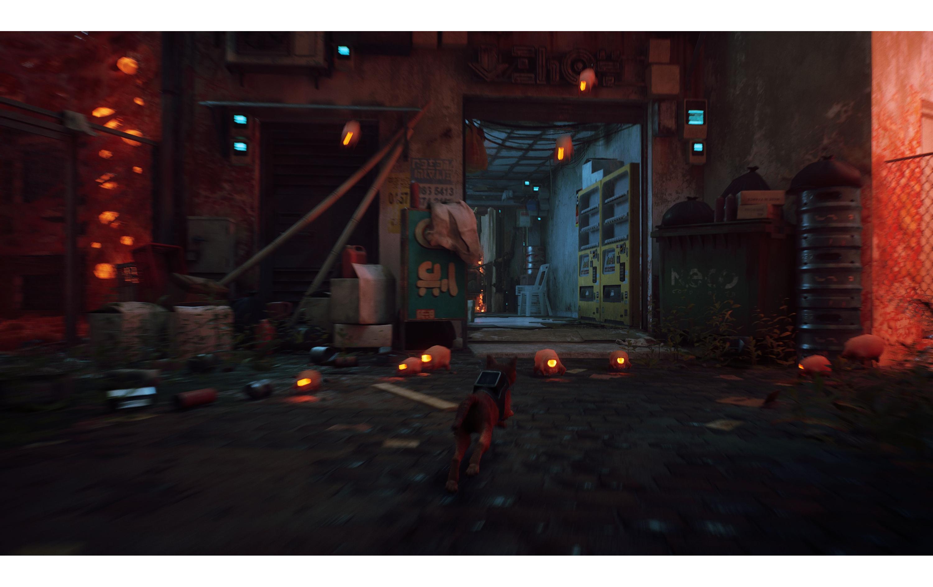 StrayThird-Person-Katzenabenteuer-Simulationsspiel für die PlayStation 5
