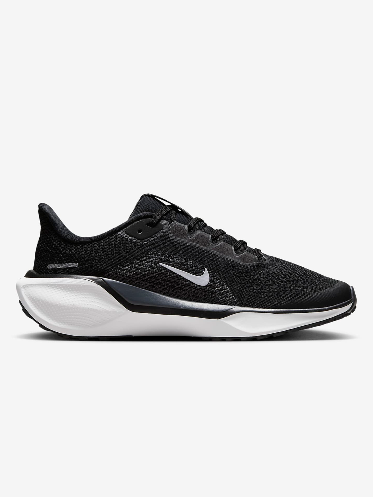 Pegasus 41