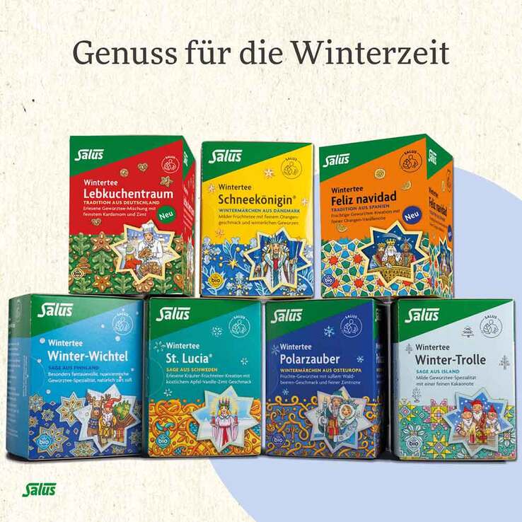 Winter-Wichtel Wintertee Bio Salus Filterbeutel, 15 St