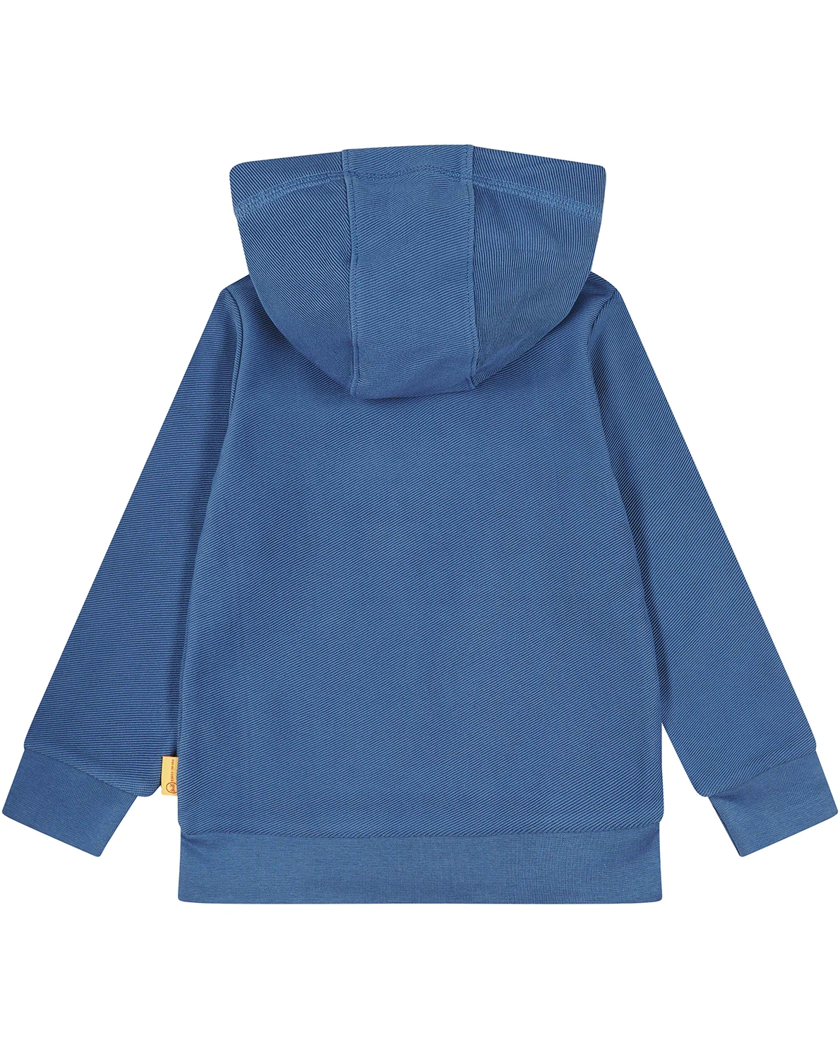 Kapuzen-Sweatshirt TEDDY in bijou blue