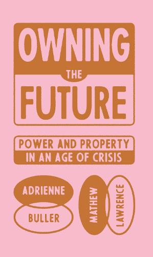Owning the Future: Power and Property in an Age of Crisis (Hardback)