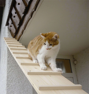 Elmato Katzentreppe 1 Meter ohne Verbindung