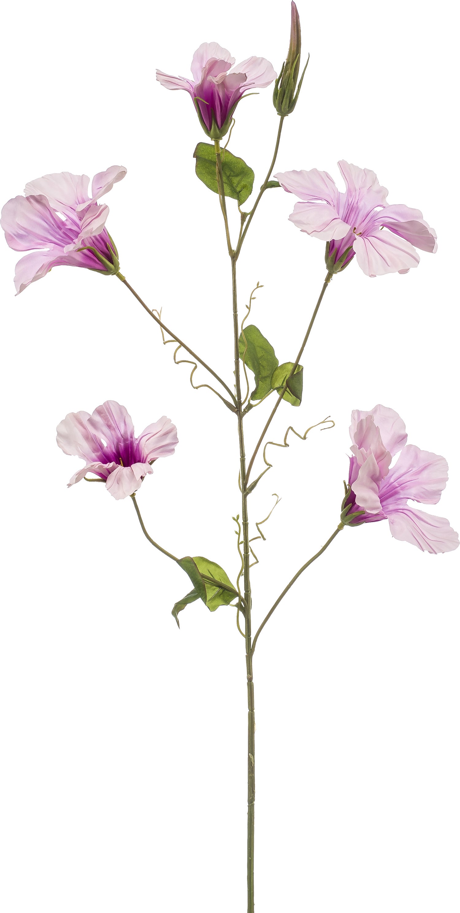Emerald kunstbloem Mandevilla paars 105 cm