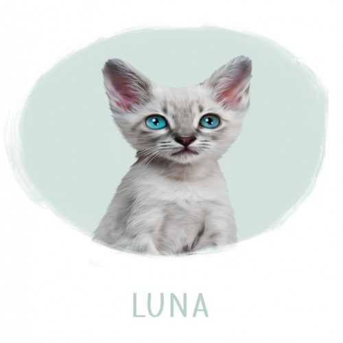 Retrato personalizado da Mascochula Luna em um lençol com seu animal de estimação em tons de verde-água.