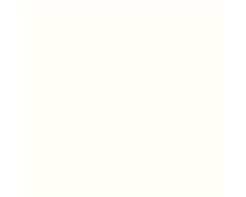 HORNBACH PU Acrylverf, Raam- en Deurverf, Glanzend Wit, 750 ml