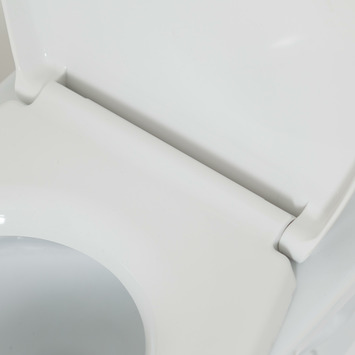 Tiger WC bril Amadora Wit Kunststof met Softclose