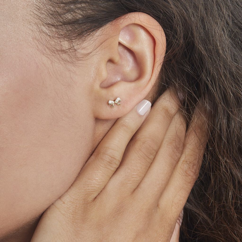 Boucles D'oreilles Puces Or Jaune Brunnera Oxydes De Zirconium