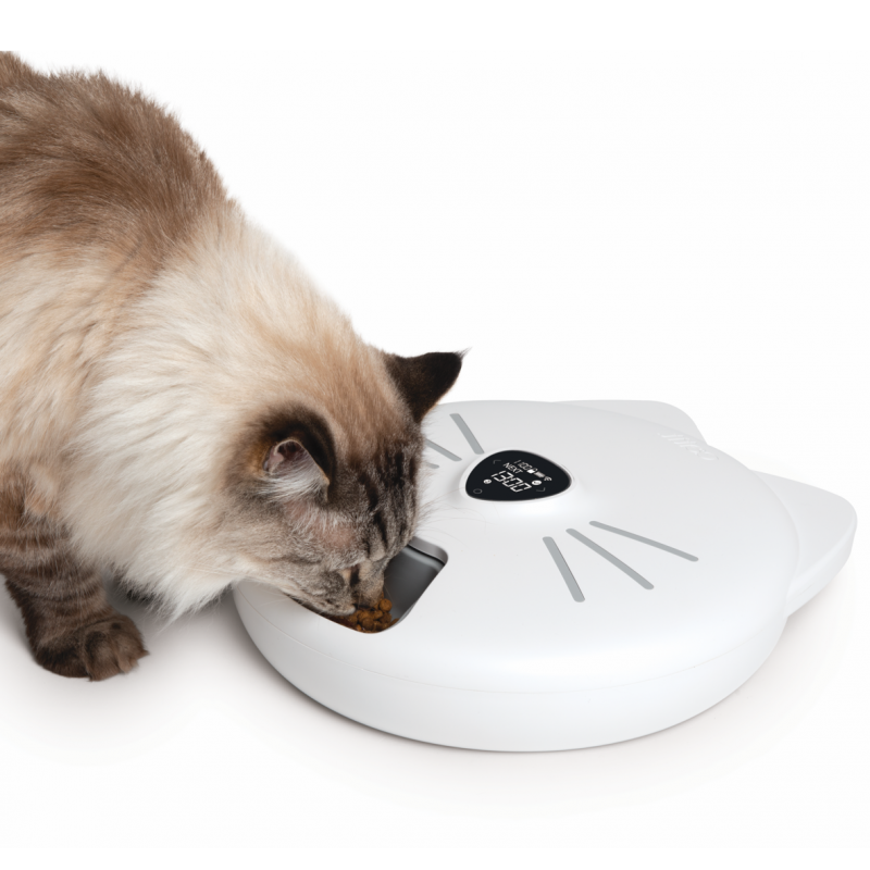 Catit - distributeur automatique pixi smart avec 6 repas (nourriture humide)