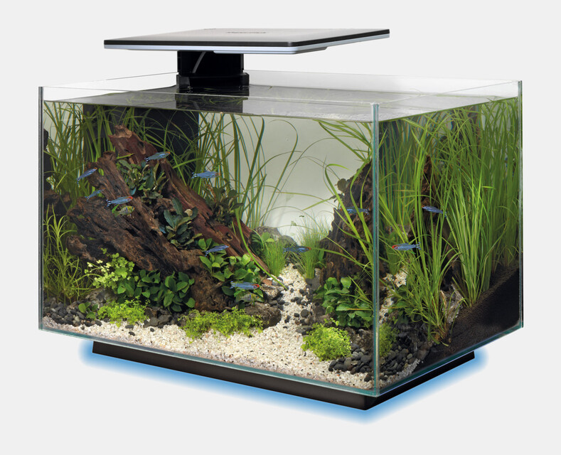 Superfish Aquarium Quadro 40 Multi Colour Wit   lamp en filter