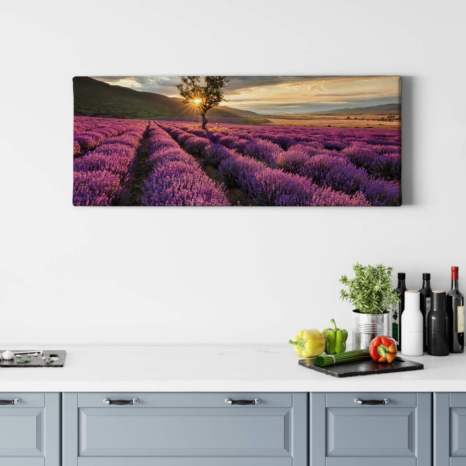 Leinwandbild LAVENDELFELD - grün-lila - 100x40 cm