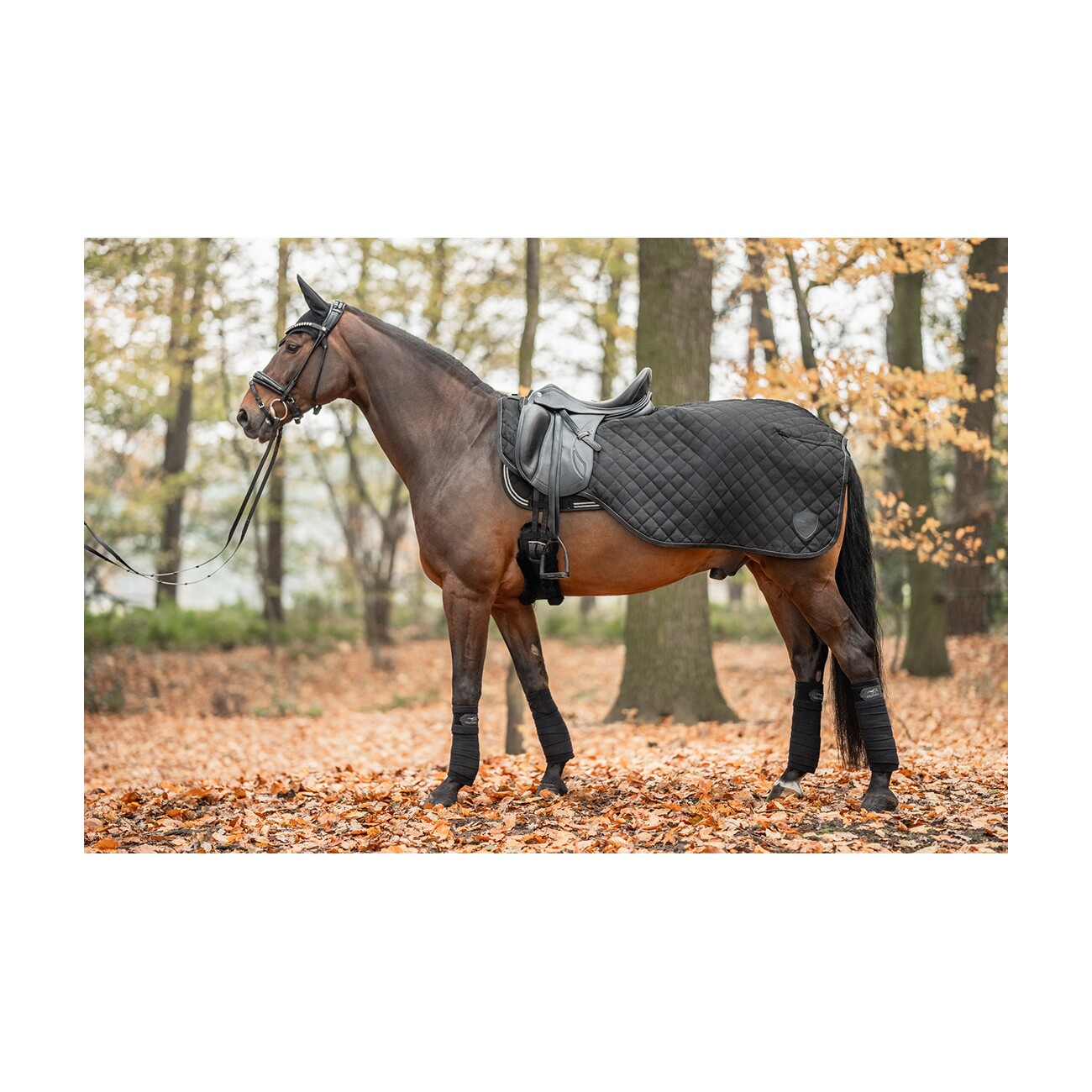 Equinate Ausreitdecke James mit Teddyfell