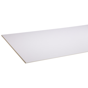 Agnes wandplaat wit stuc 2600 x 600 x 12 mm 1 stuks