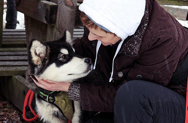 Schlittenhundetrekking Rüthen
