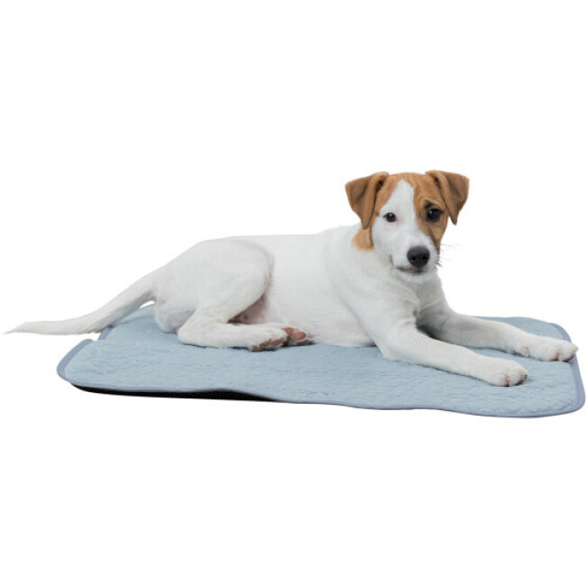 Junior Matelas Fresh Trixie