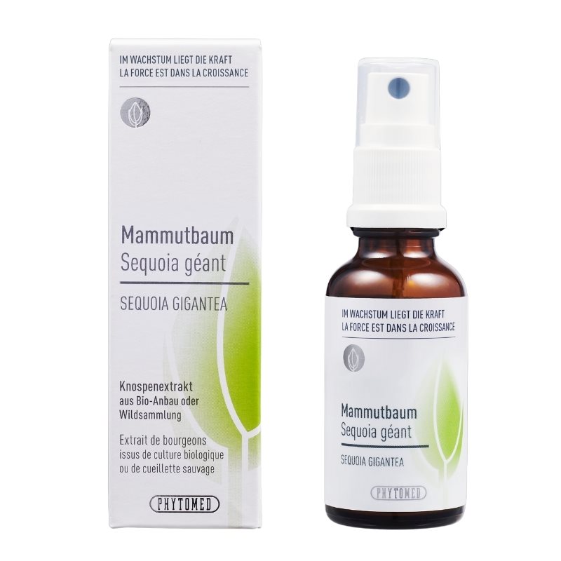 PHYTOMED Knospenextrakt<br>30 ml, Spray, flüssig, Mammutbaum