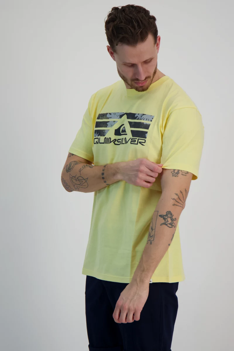 Quiksilver Bayabas Herren T-Shirt