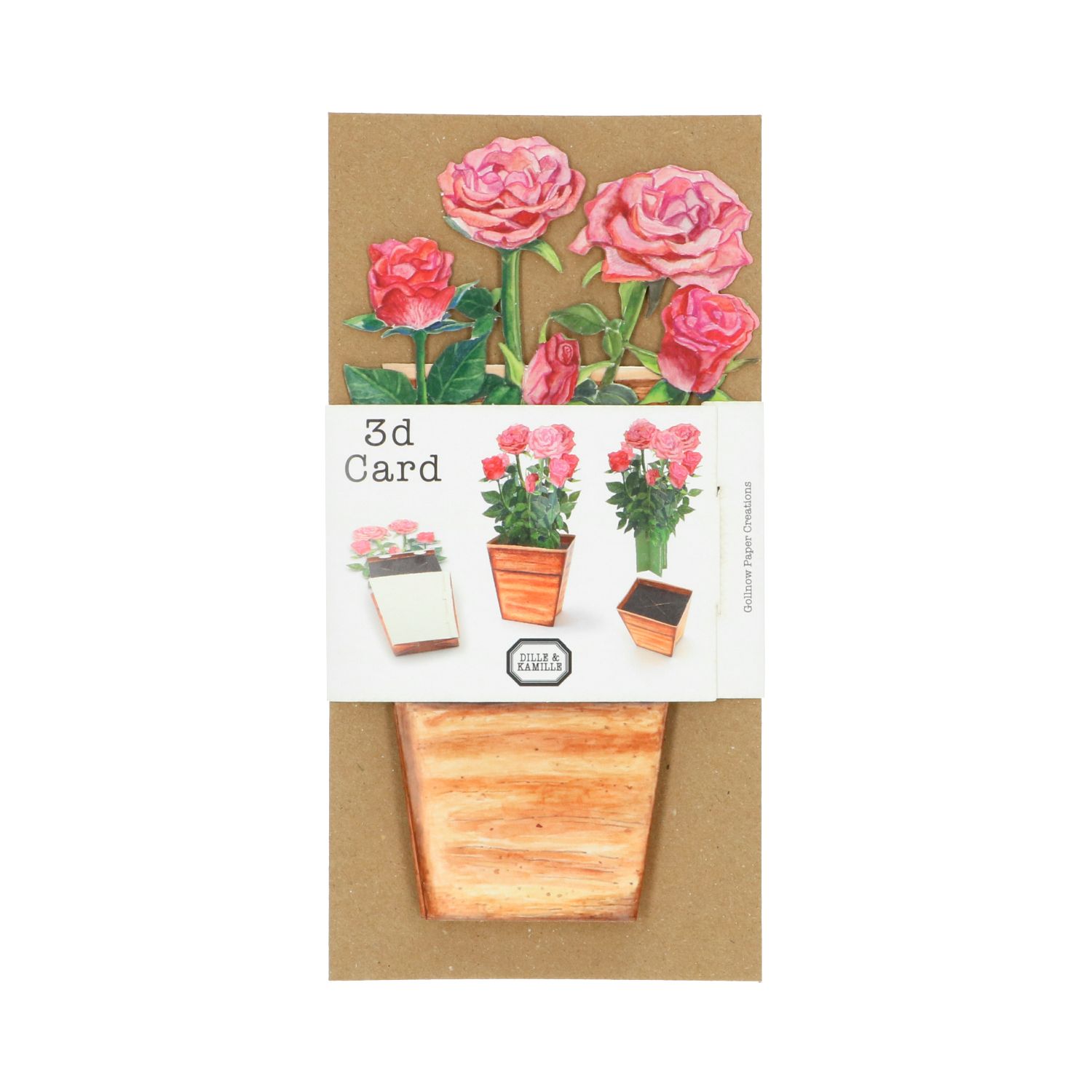 Kaart 3D met envelop, rozen